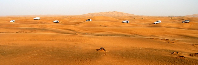 dubaj poušť.jpg